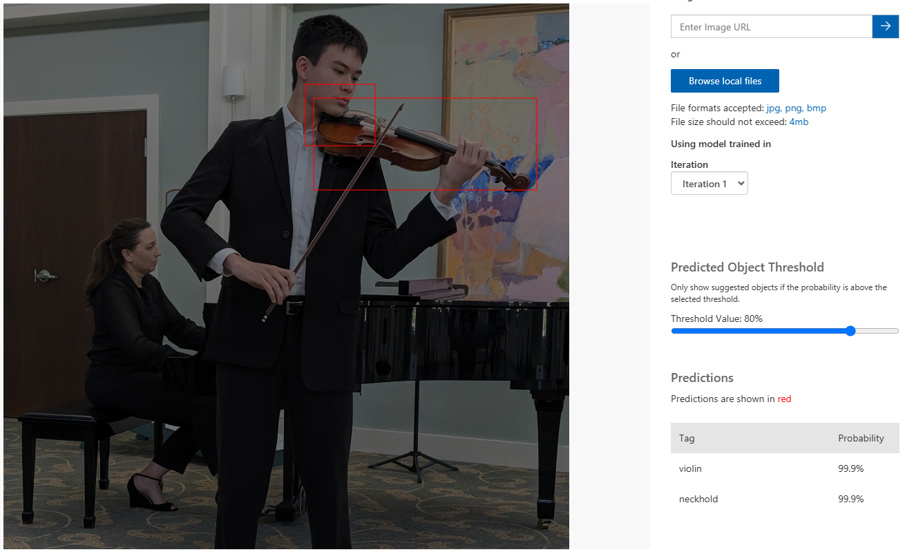 Violink detection picture